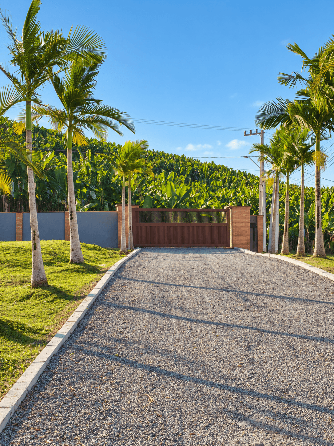 Acesso arborizado de residência de alto padrão em propriedade rural, obra em construção e já vendida