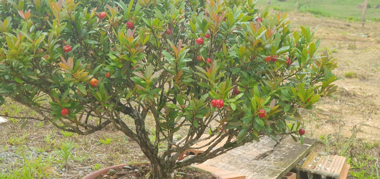 Registro da obra do Sítio Alto Padrão em propriedade rural